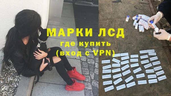 круглые Алзамай