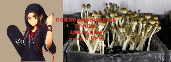 прущая мука Абдулино
