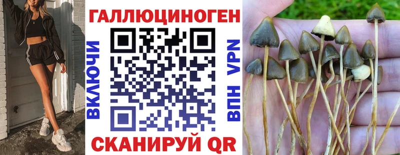 Галлюциногенные грибы MAGIC MUSHROOMS  Канск 